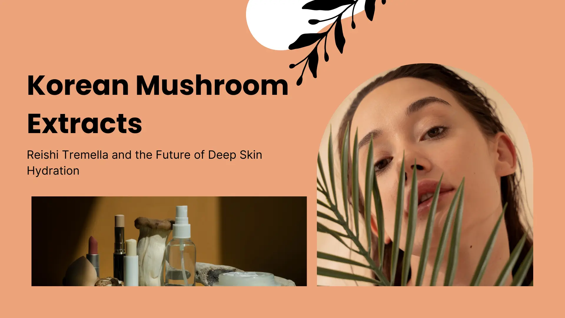 Korean Mushroom Extracts: Reishi Tremella and the Future of Deep Skin Hydration